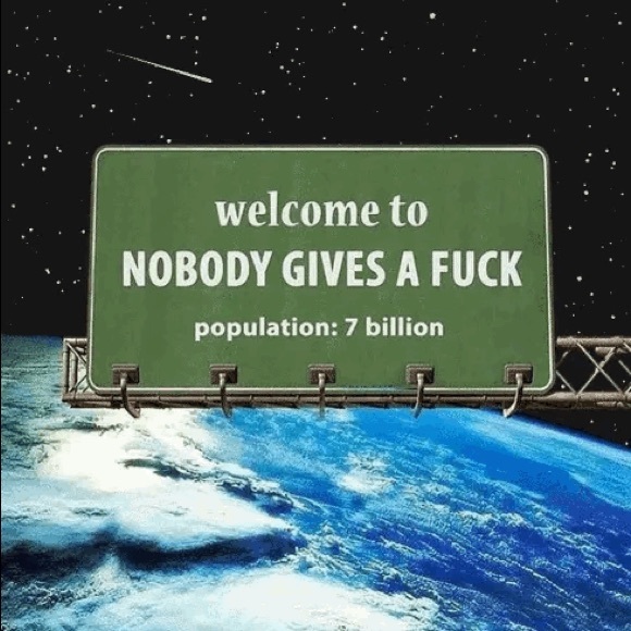 Meet your Posher, Abby - Picture 1 of 1